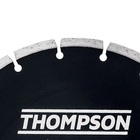 Disco Thompson Diamantado Segmentado 105x20mm