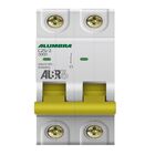 Disjuntor Bipolar 25a Curva C