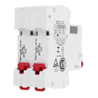 Disjuntor Bipolar Din Curva C 16A Steck