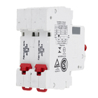 Disjuntor Bipolar Din Curva C 50A Steck