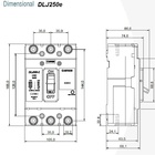 Disjuntor Caixa Moldada Dlj250e 225a Tripolar