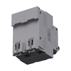 Disjuntor Din Bipolar 100A Curva C Eletromar