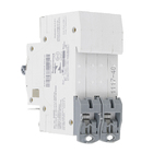 Disjuntor Din Bipolar 220V-400V 40A Eletromar