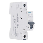 Disjuntor Din Monopolar Curva C 220V (440V) 63A  Siemens