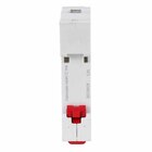 Disjuntor Din Monopolar Curva C 25A Steck