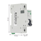 Disjuntor Din Monopolar EASY9 1P 10A Curva C 3000A Schneider