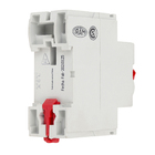 Disjuntor DR Bipolar 63A/300MA Steck