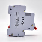 Disjuntor Elitek Din Bipolar Curva C 16ka