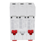 Disjuntor Tripolar Din Curva C 50A Steck