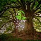 Dispenser Papel Toalha Bobina Auto Corte