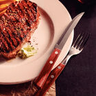 Display 60 Peças Garfo De Mesa Polywood Vermelho Lamina De Ac