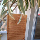 Divisória Madeira, Biombo- Treliça T20