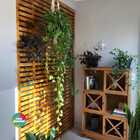 Divisória Madeira - Treliça T2