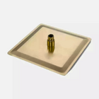 Ducha Chuveiro 20x20 De Teto Inox Com Braço 30 Cm Dourada