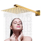 Ducha Chuveiro Aço Inox 20x20cm Slim Quadrada Gold Com Braço