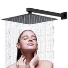 Ducha Chuveiro Aço Inox 30x30cm Slim Quadrada Preto Com Braço