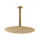 Ducha Chuveiro Redonda De Teto 30 Cm Curuá Pingoo.casa - Dour