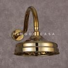 Ducha Chuveiro Redondo Retro De Teto Inox 20cm Trombetas Ping