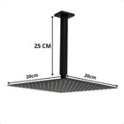Ducha Chuveiro Teto Piscina 20x20 Metal Inox Preto Fosco