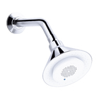 Ducha com Caixa de Som Bluetooth Cromada Moxie Kohler