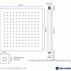 Ducha De Inox Quadrada 30x30 Cm De Teto (preto)