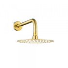 Ducha De Inox Redonda 20 Cm De Parede (dourada)