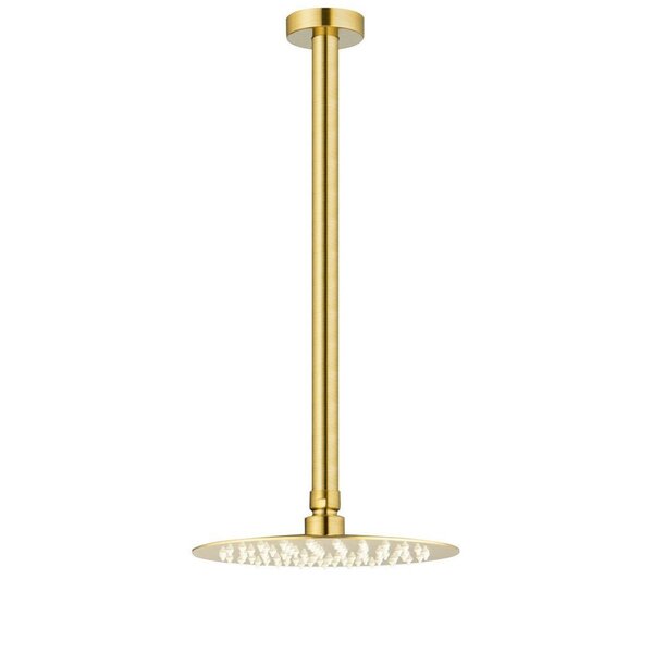 Ducha De Inox Redonda 20 Cm De Teto Fosca Dourado