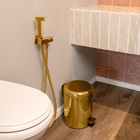 Ducha Higiênica (elba Dourada)