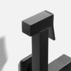 Ducha Higiênica (elba Preta Fosca)