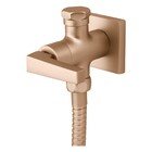 Ducha Higiênica Bella Clássica Champanhe Fani