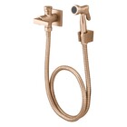 Ducha Higiênica Bella Clássica Champanhe Fani