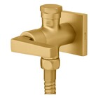 Ducha Higiênica Bella Clássica Gold Fani