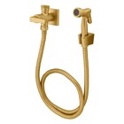 Ducha Higiênica Bella Clássica Gold Fani