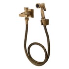 Ducha Higiênica Bella Clássica Ouro Velho Fani