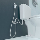 Ducha Higiênica Blukit 220934 Registro Com Derivação E Flexív