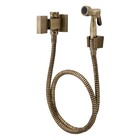 Ducha Higiênica Com Derivação Horus Ouro Velho Fani