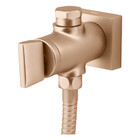 Ducha Higiênica Com Derivação Prima Champanhe Fani