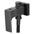 Ducha Higiênica Com Derivação Retta Grafite Liso Fani