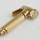 Ducha Higiênica Dourada Luxo Completa Banheiro Lavabo