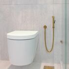 Ducha Higiênica Dourado Escovado Água Fria