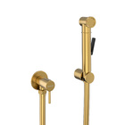 Ducha Higiênica Dourado Escovado Água Fria