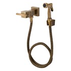 Ducha Higiênica Eros Ouro Velho Fani