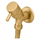 Ducha Higiênica Eva Gold Fani