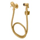 Ducha Higiênica Eva Gold Fani