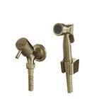 Ducha Higiênica Eva Ouro Velho Fani