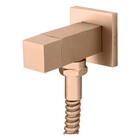 Ducha Higiênica Hera Champanhe Fani