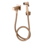 Ducha Higiênica Hera Champanhe Fani