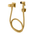 Ducha Higiênica Hera Gold Fani