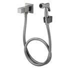 Ducha Higiênica Hera Grafite Escovado Fani