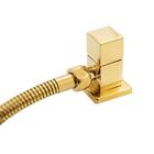 Ducha Higiênica Para Bidê Lavabo Gold Dourado Griff Inox